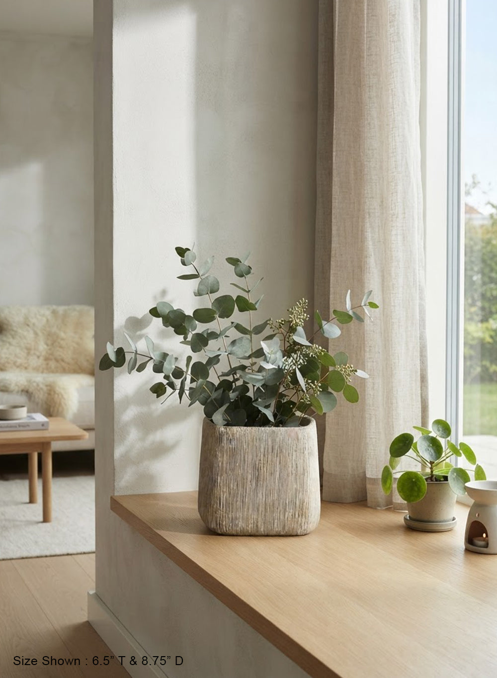 Solis Textured Cement Planter Collection