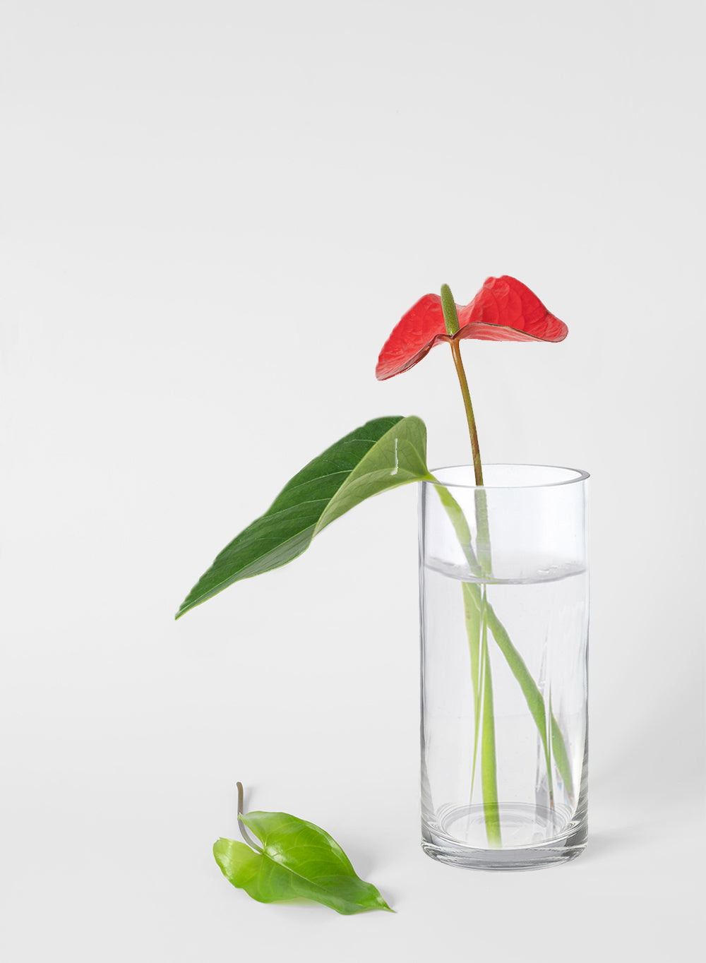 Glass Cylinder Hurricane Vase, in 4 Size Options