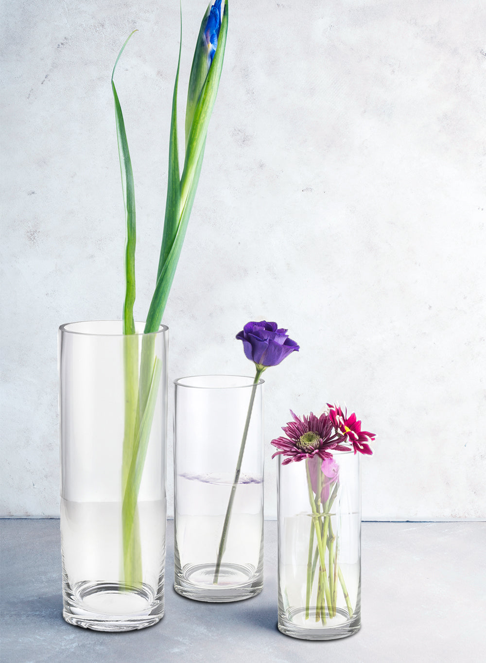 Serene Spaces Living Set of 12 Glass Cylinder Hurricane Vase- 3.5" Dia & 10" Tall