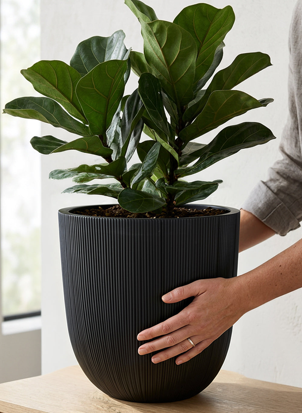 Ebon Ribbed PVC Planter Collection