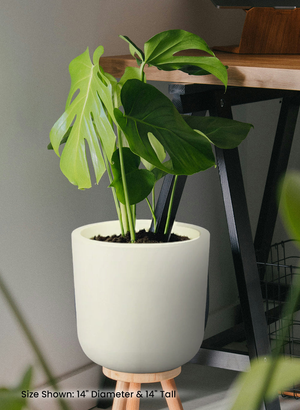 White Matte PVC Planter, in 3 Sizes