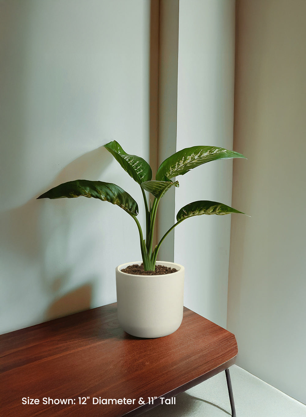 White Matte PVC Planter, in 3 Sizes