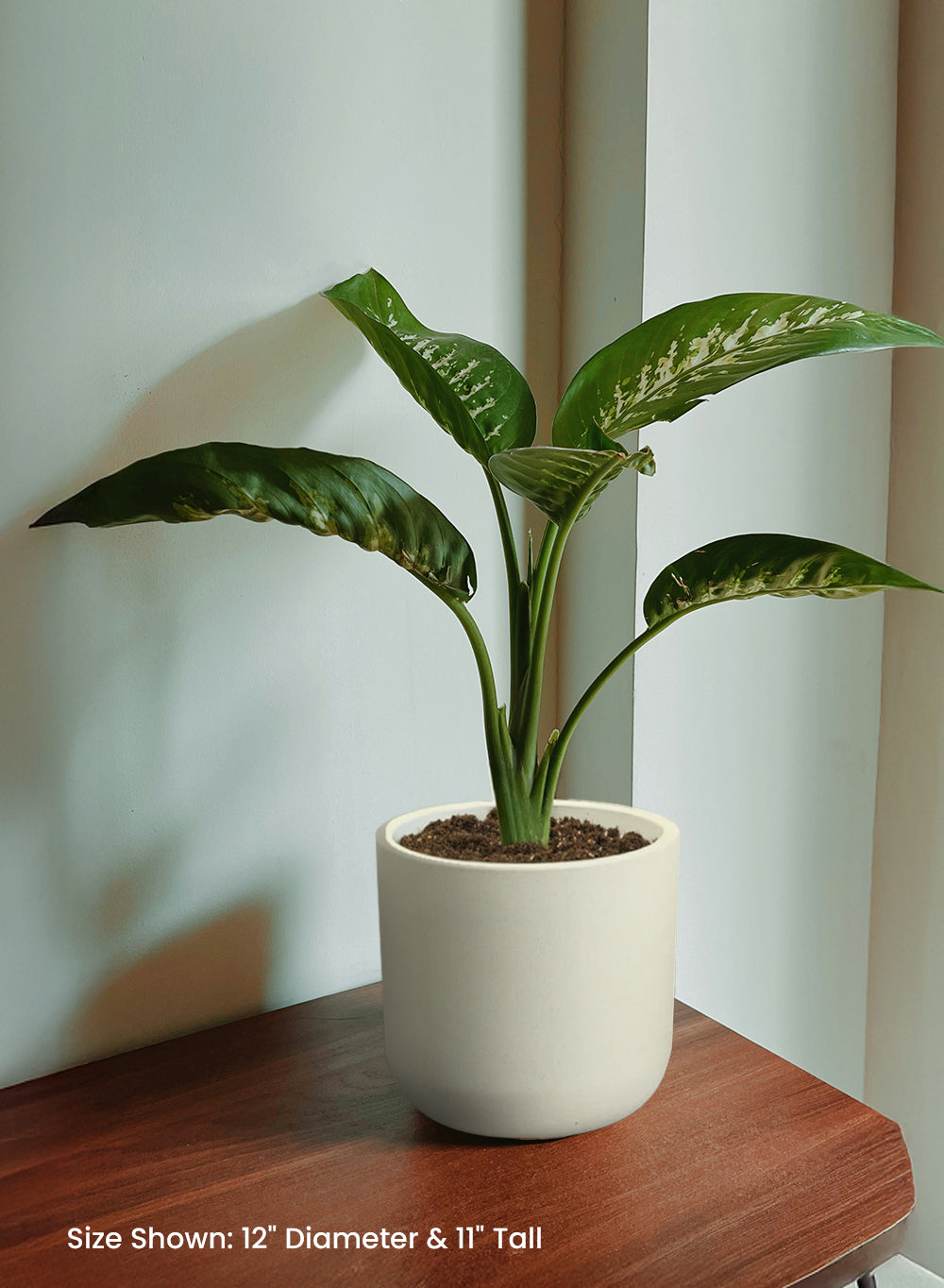 White Matte PVC Planter, in 3 Sizes