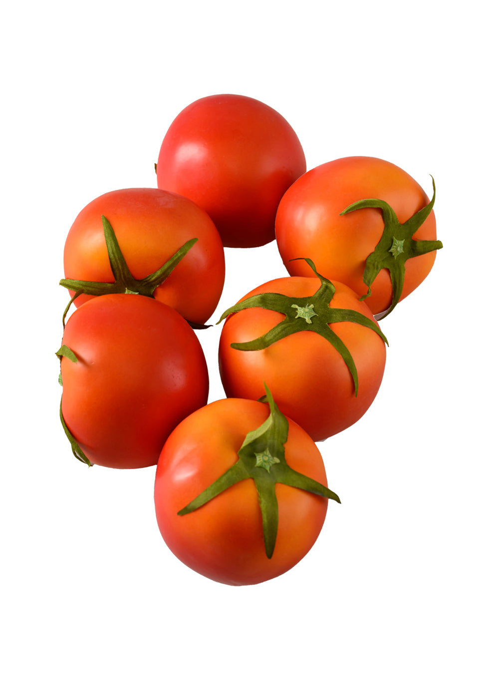 Faux Red Tomatoes, 2.6" Diameter & 2.5" Tall, Pack of 6