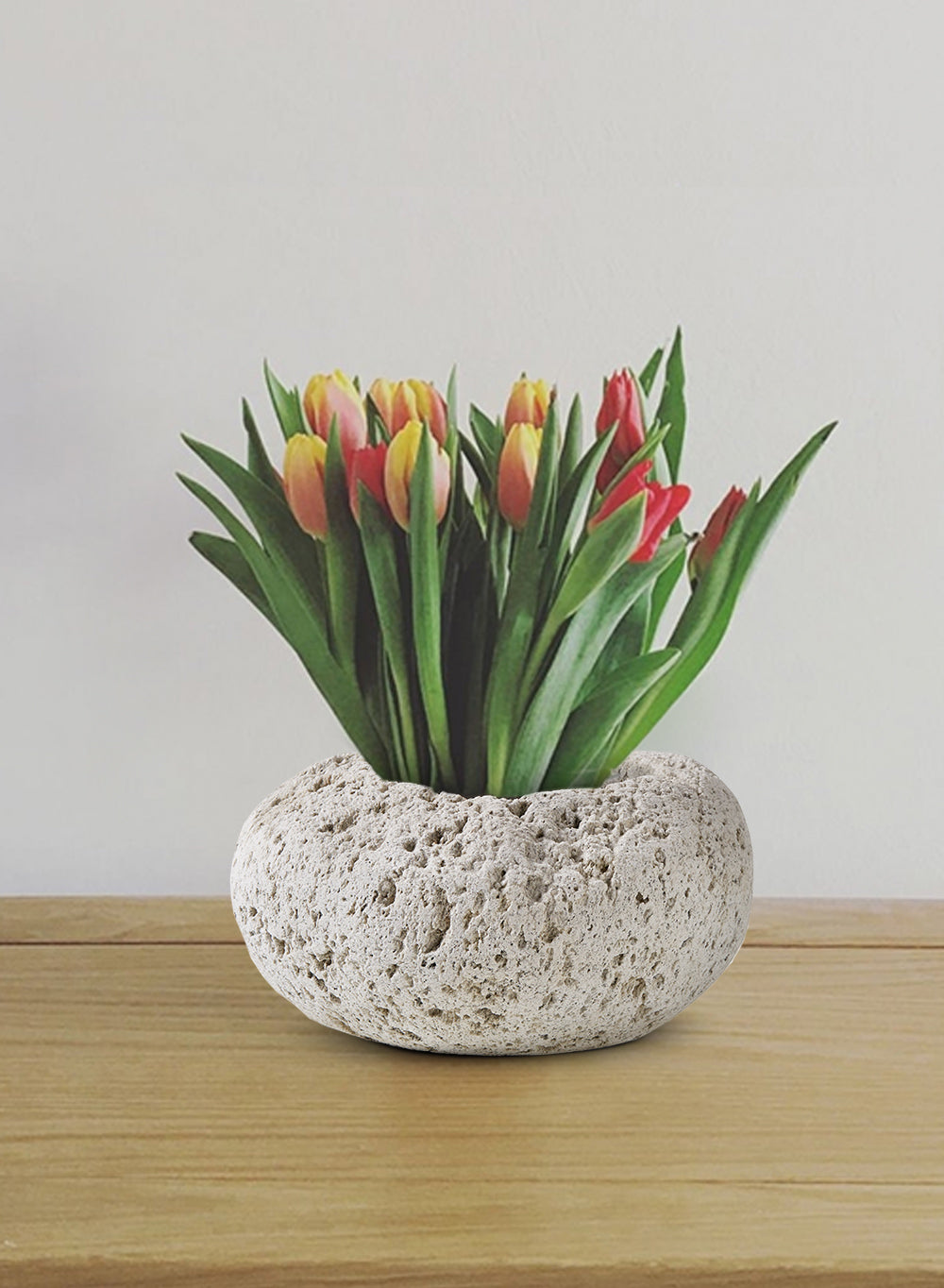 Natural Pumice Stone Vase, in 5 Unique Shapes & Sets