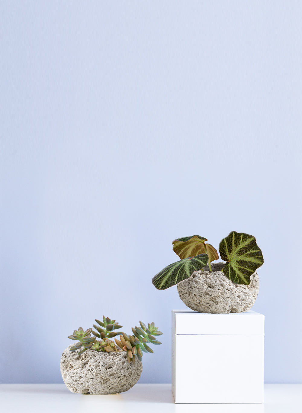 Natural Pumice Stone Vase, in 5 Unique Shapes & Sets