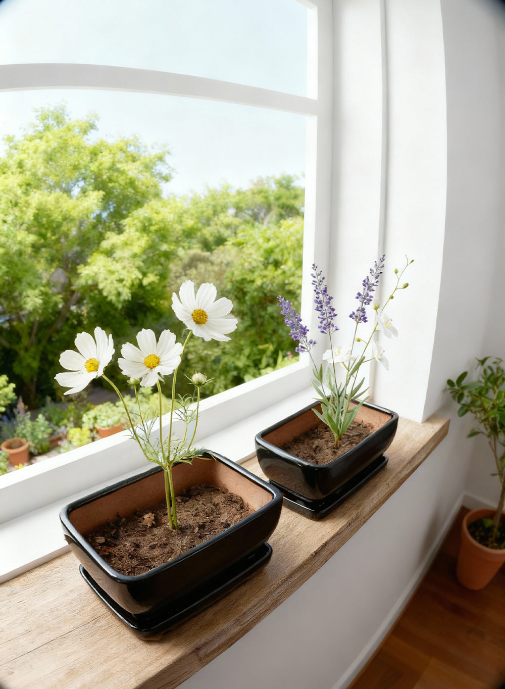 Black Ceramic Bonsai Planters, Bundle of 2 (Small & Medium)
