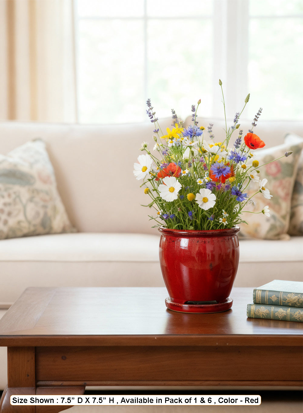 Sora Ceramic Planter Collection