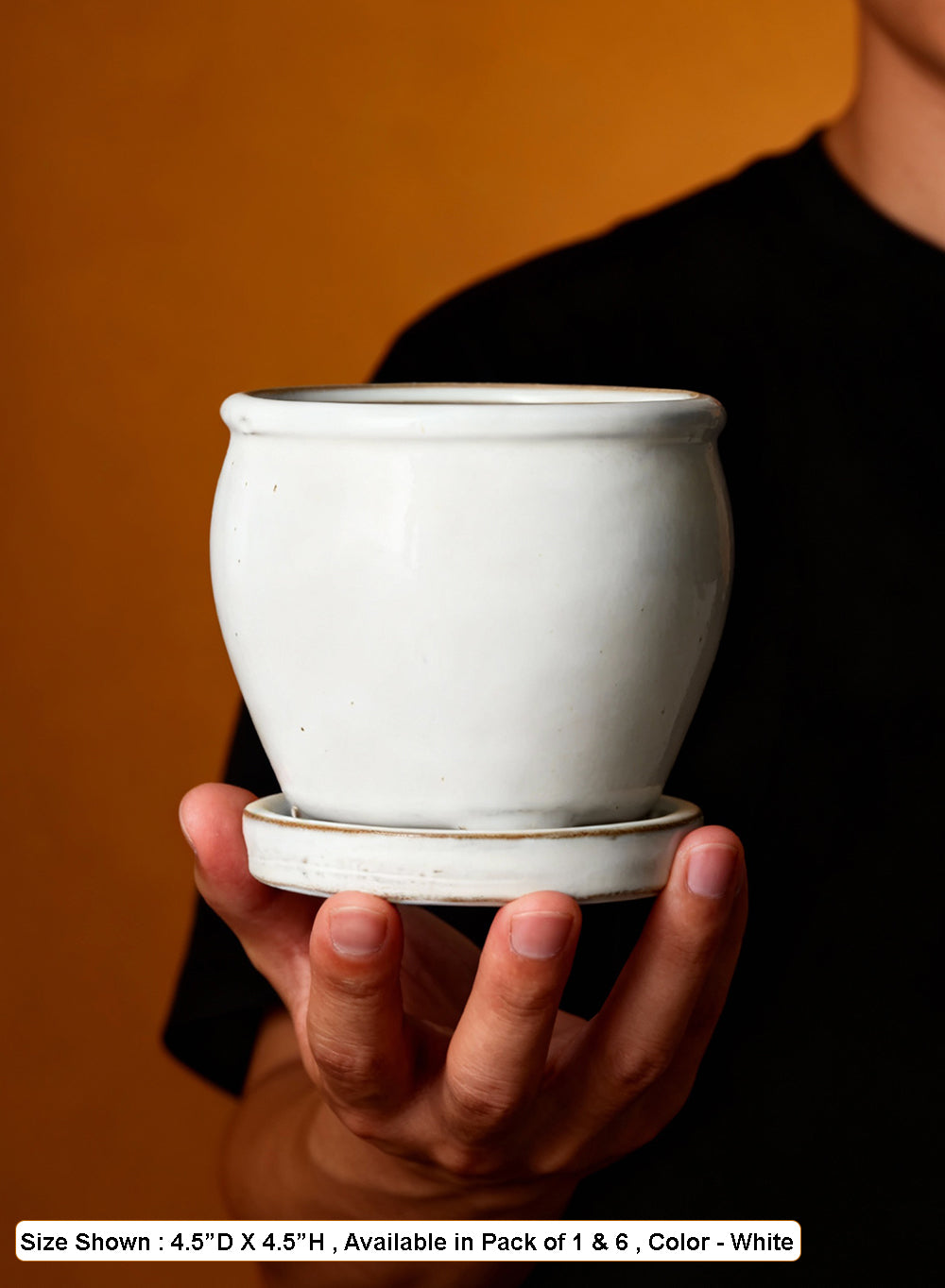 Sora Ceramic Planter Collection