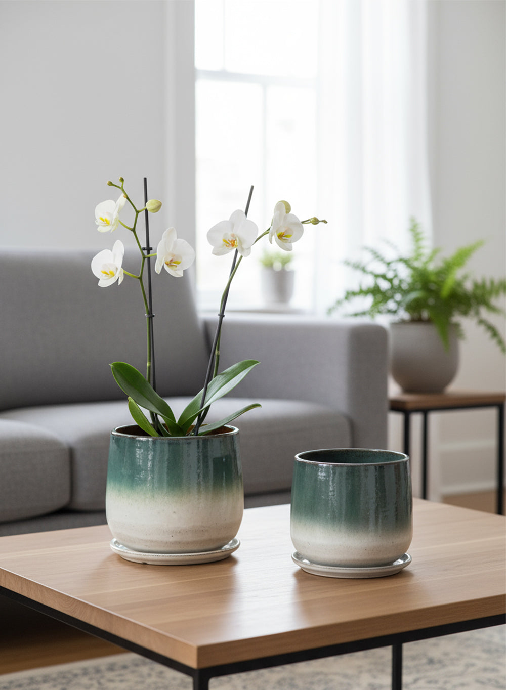 Green Ombre Ceramic Planter with Drainage Hole and Saucer, In 2 Sizes