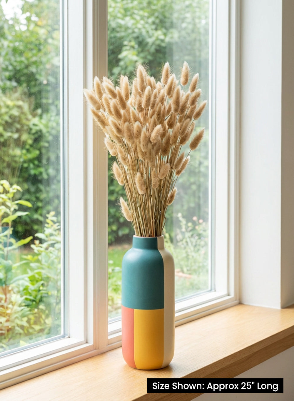 Natural Preserved Bunny Tail Grass Stems, 25" Tall, Pack of 6