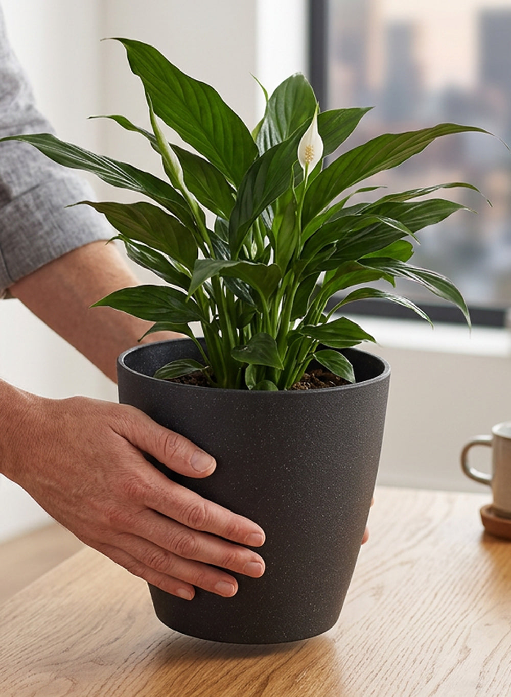 Ebon Tapered PVC Planter Pot Collection
