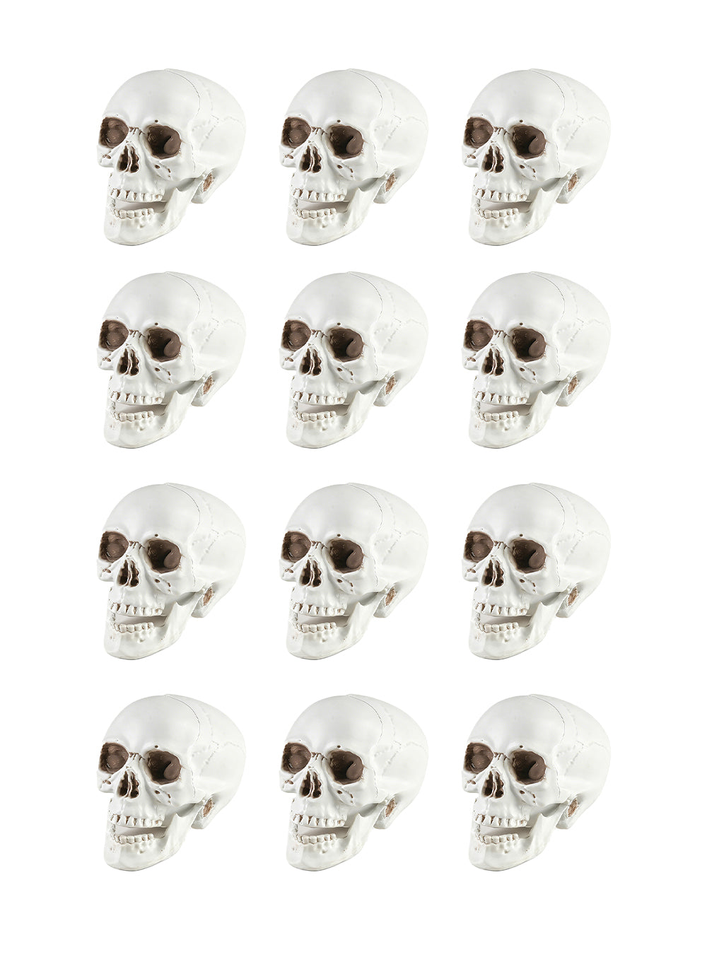 Lifelike Skull Décor Collection