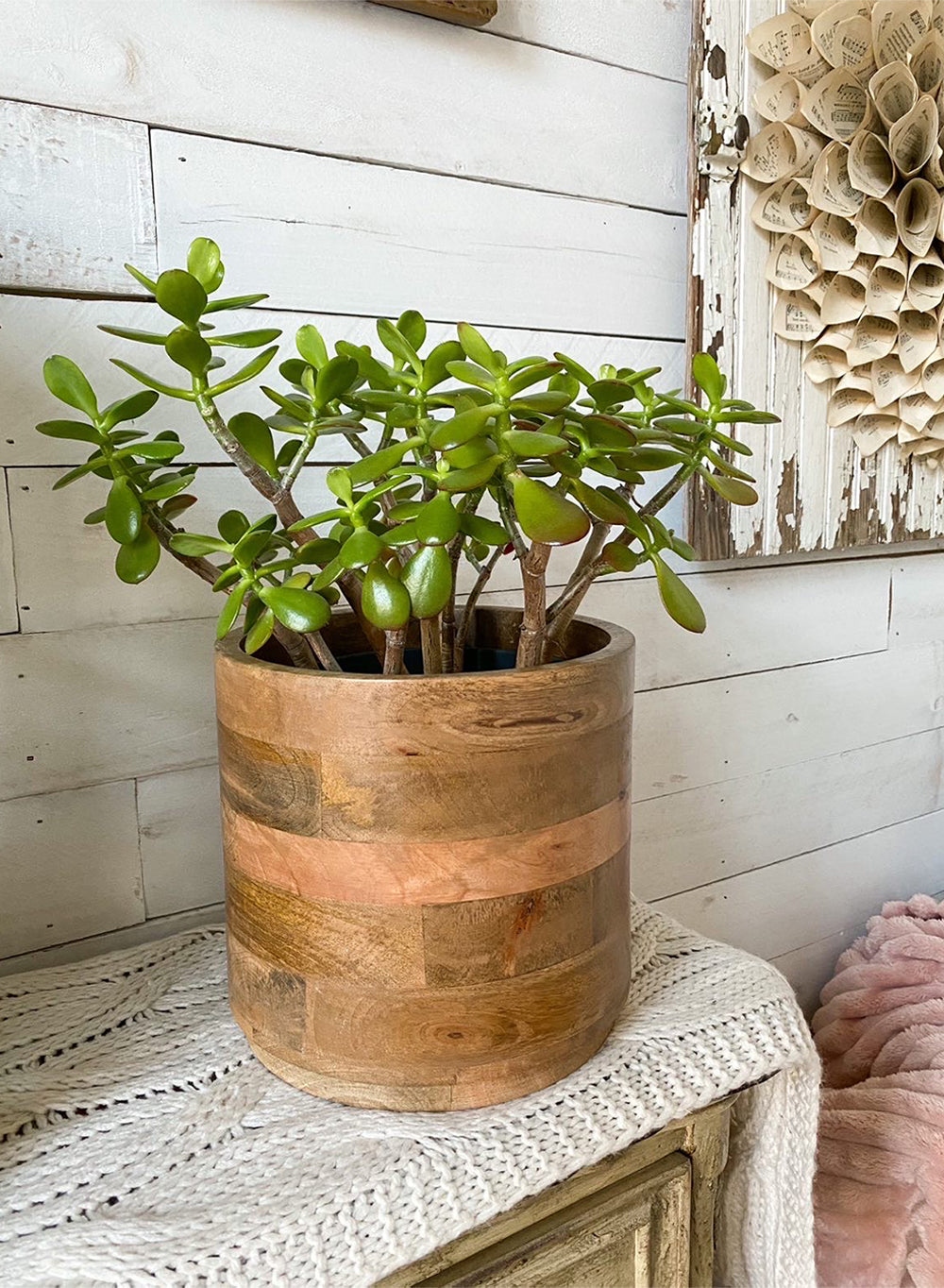 Mango Wood Cachepot, in 3 Sizes (B)