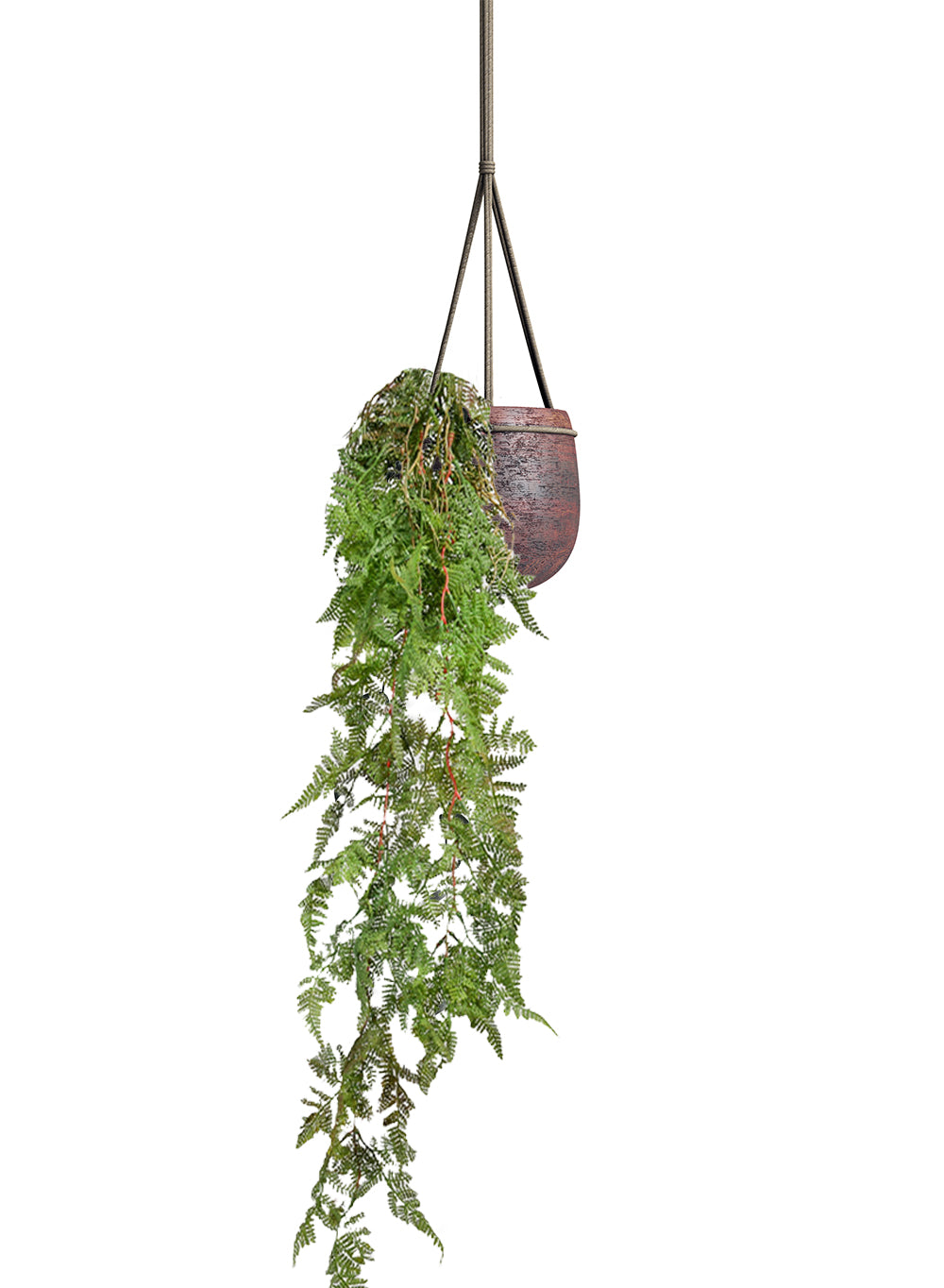Pack of 12, 44" Artificial Hanging Fern Plant