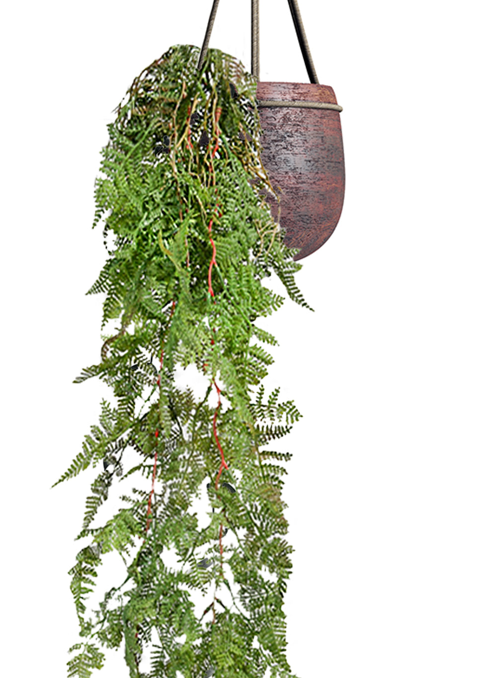 Pack of 12, 44" Artificial Hanging Fern Plant