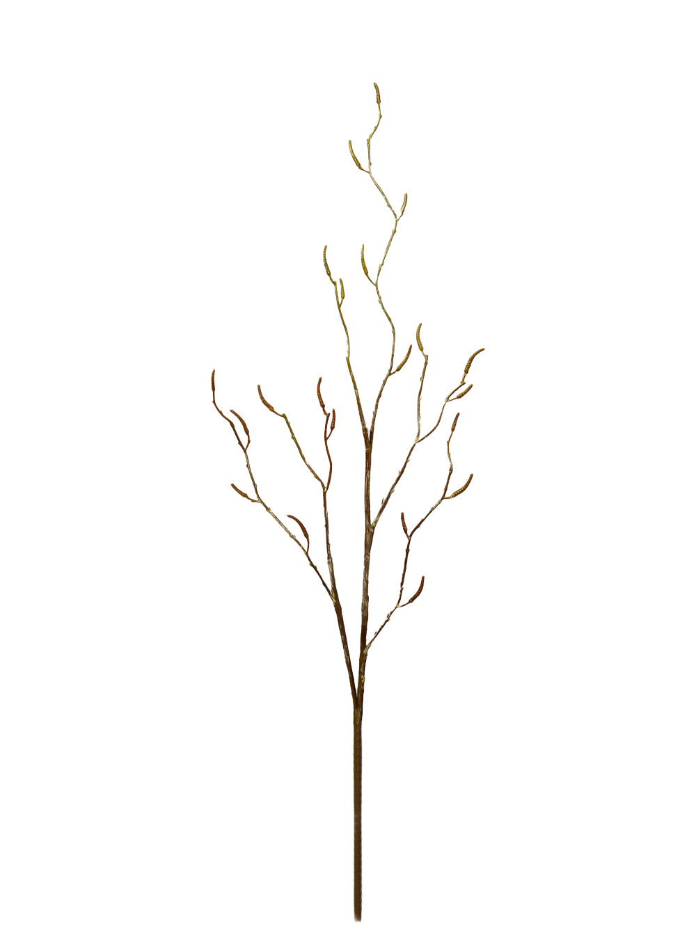 Artificial Birch Twig Branches, Pack of 12