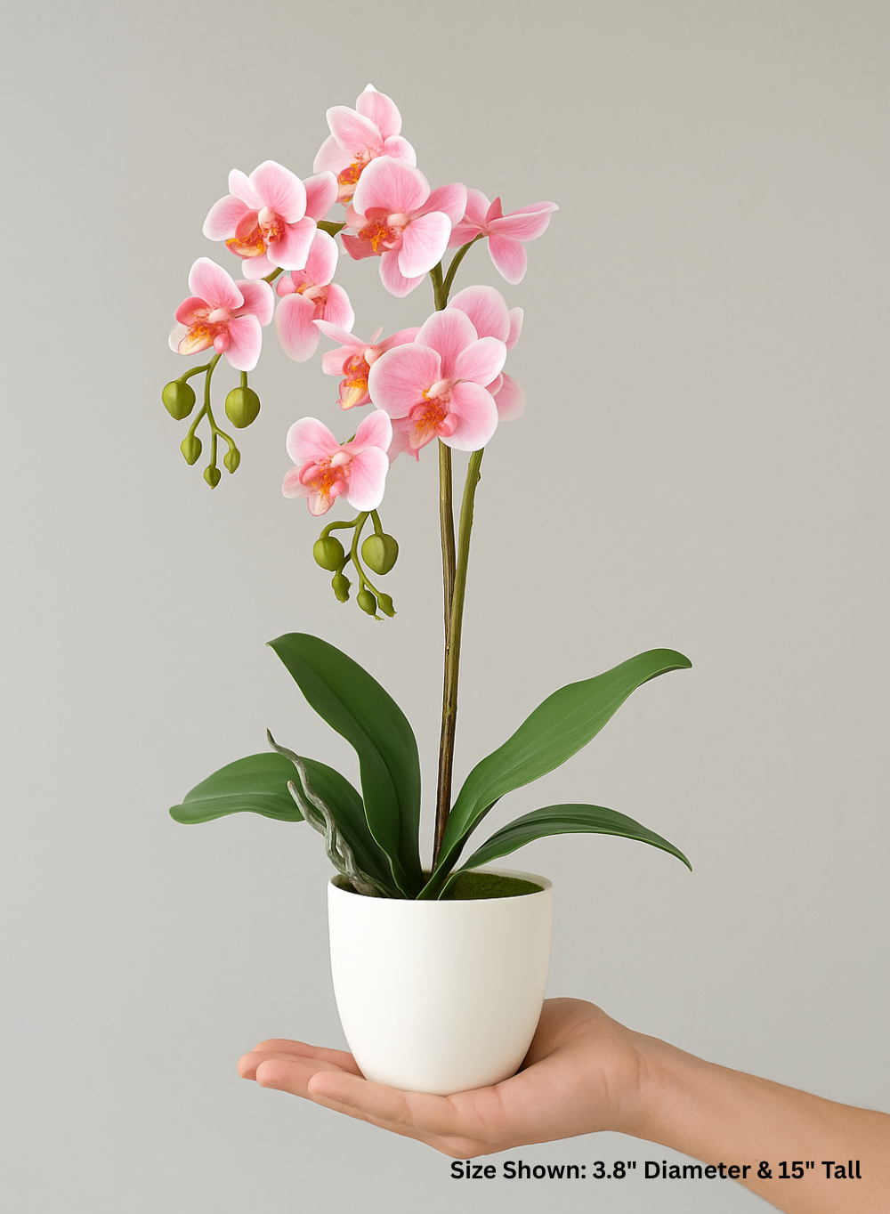 Potted Faux Pink Phalaenopsis Orchids, 3.8" Diameter & 15" Tall