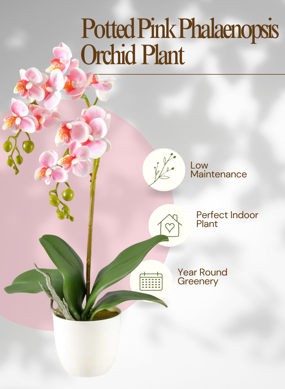 Potted Faux Pink Phalaenopsis Orchids, 3.8" Diameter & 15" Tall