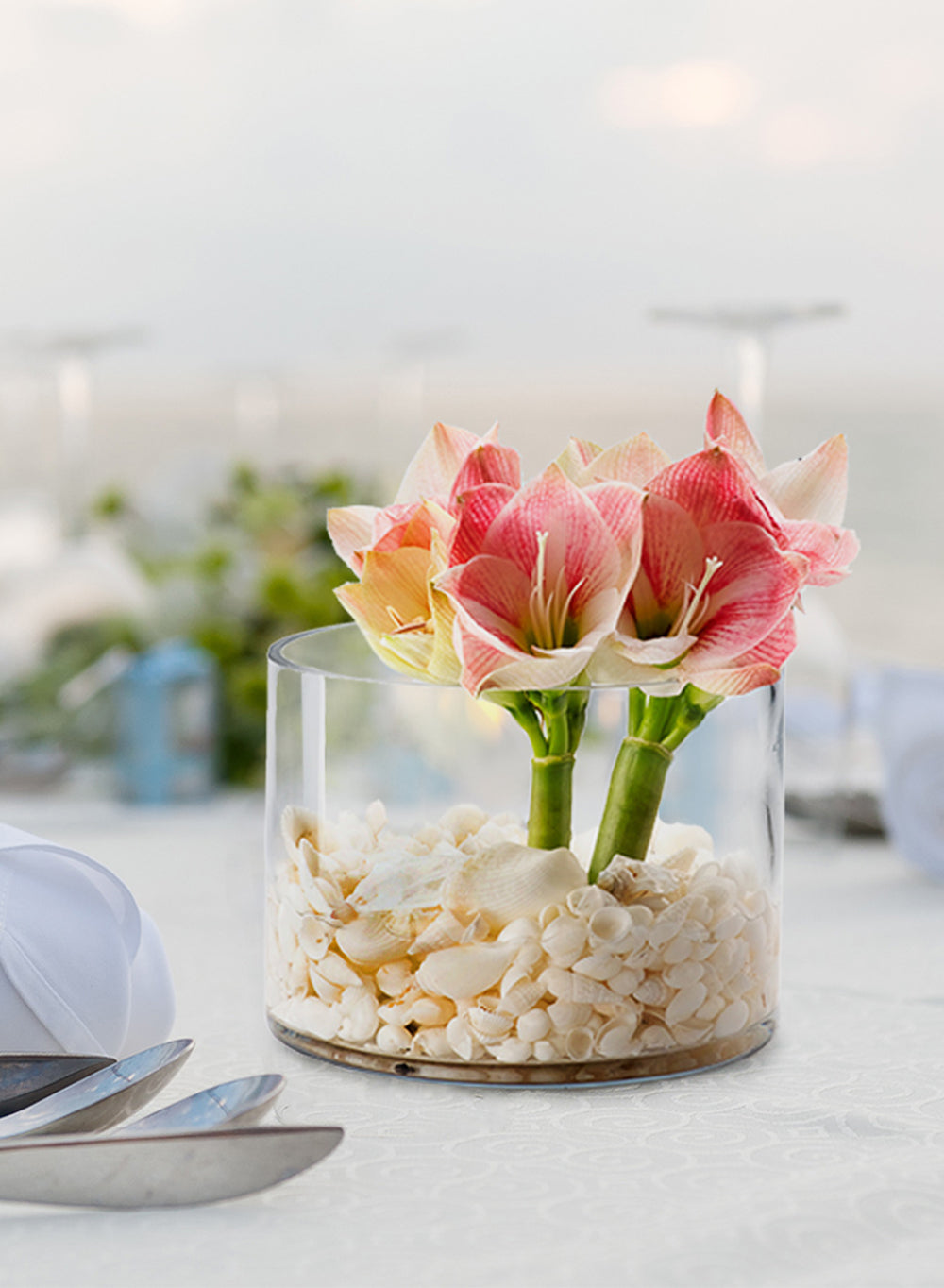 Glass Cylinder Vase, Available in 2 Colors & Sizes