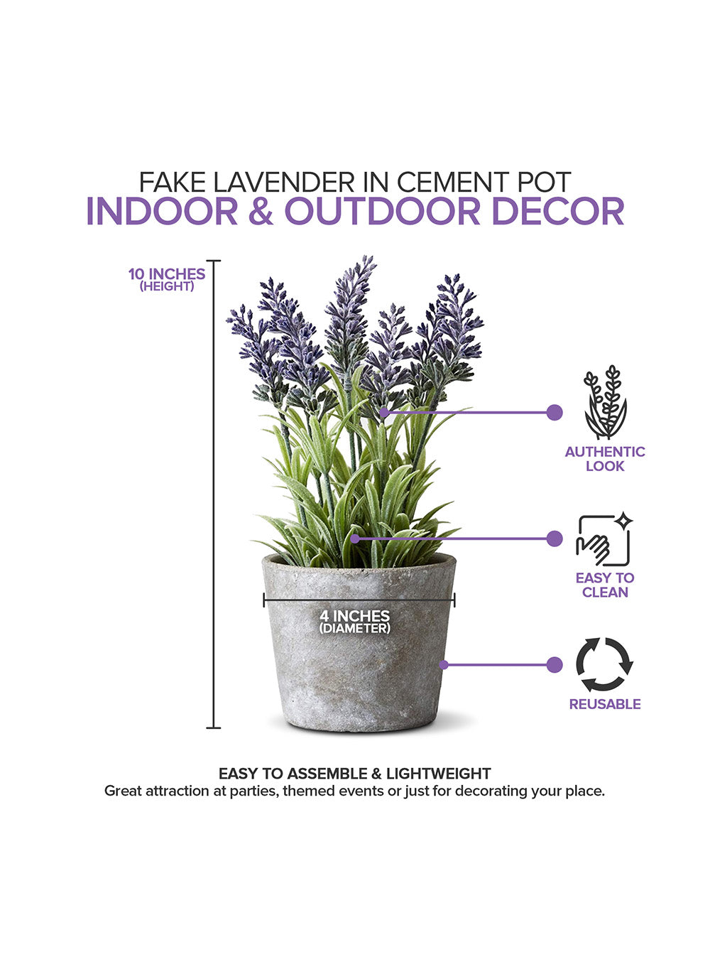 Planters With Lavender, 4" Diameter & 10" Tall