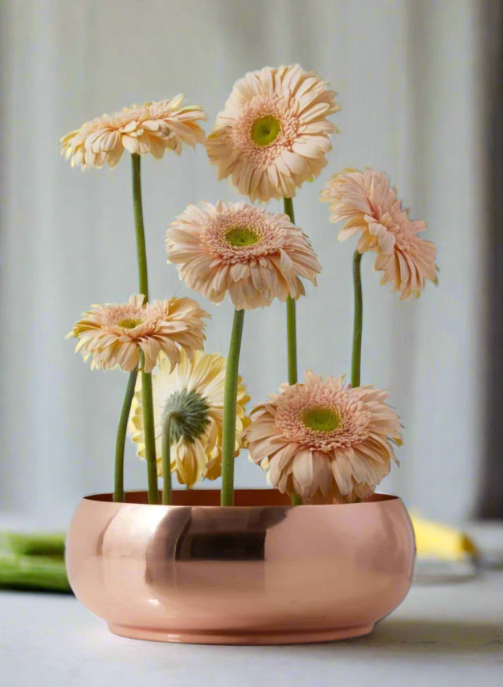 Serene Spaces Living Decorative Shallow Copper Plated Bowl, Measures 3" Tall & 8" Dia