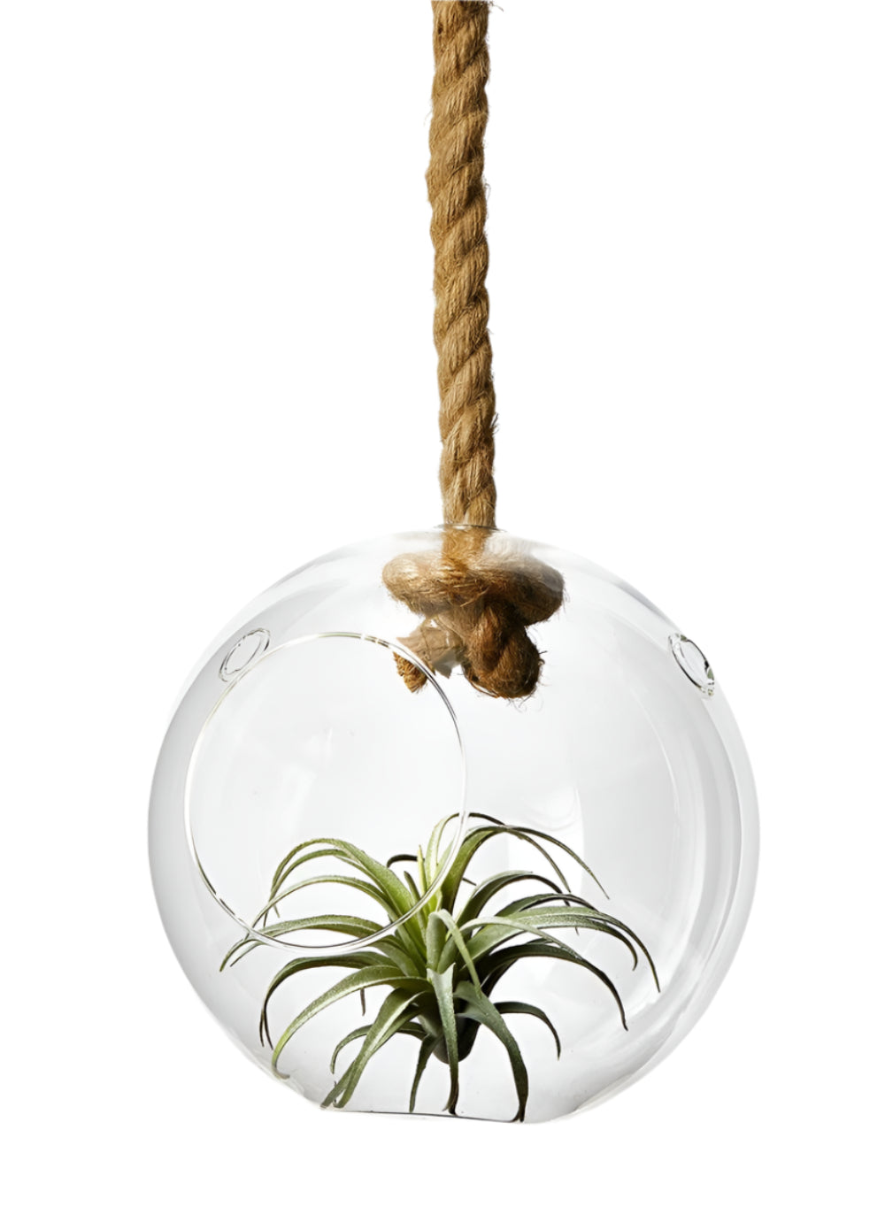 Serene Spaces Living Decorative Hanging Glass Vase with Jute Rope, Measures 8.5” Diameter