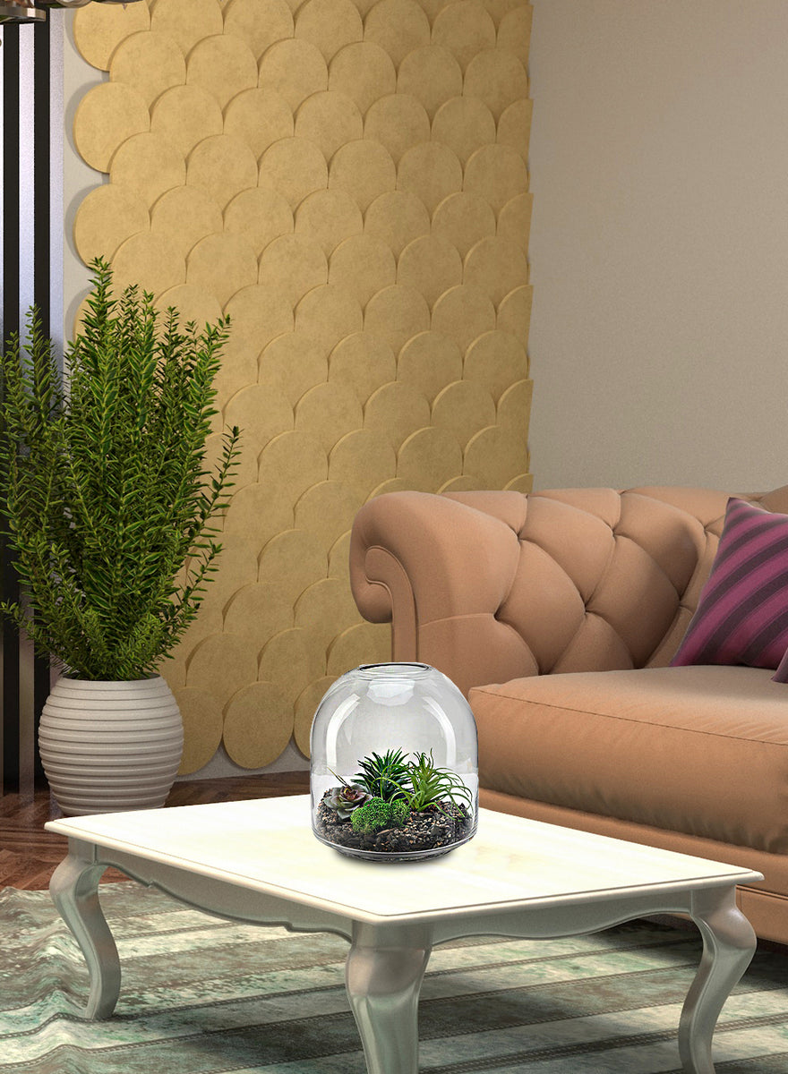 Clear Dome Shaped Glass Terrarium Vases Serene Spaces Living
