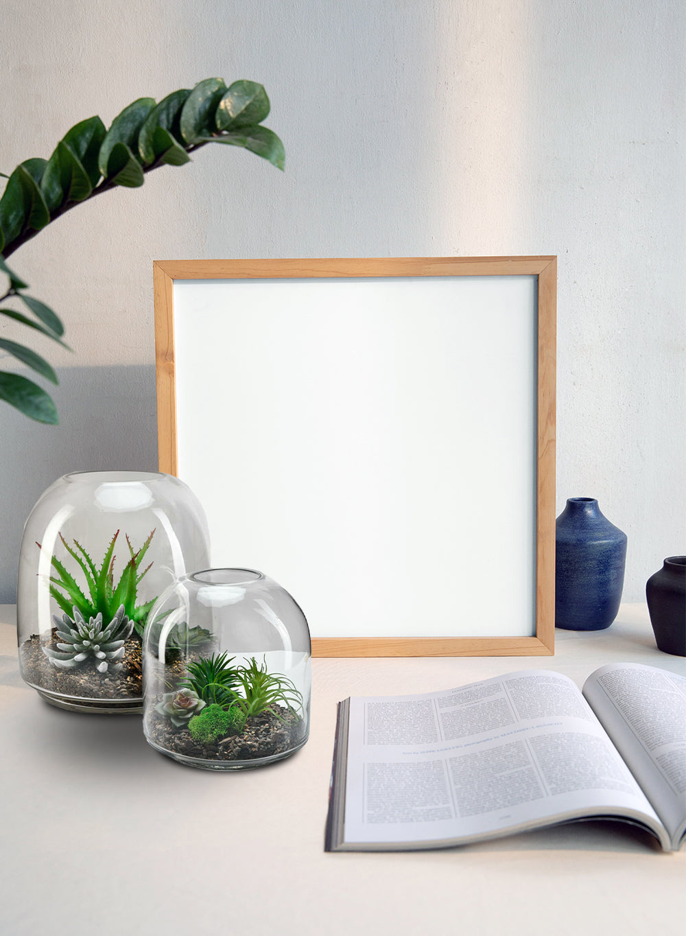 glass dome succulents Clear Dome -Shaped Glass Terrarium | Vases