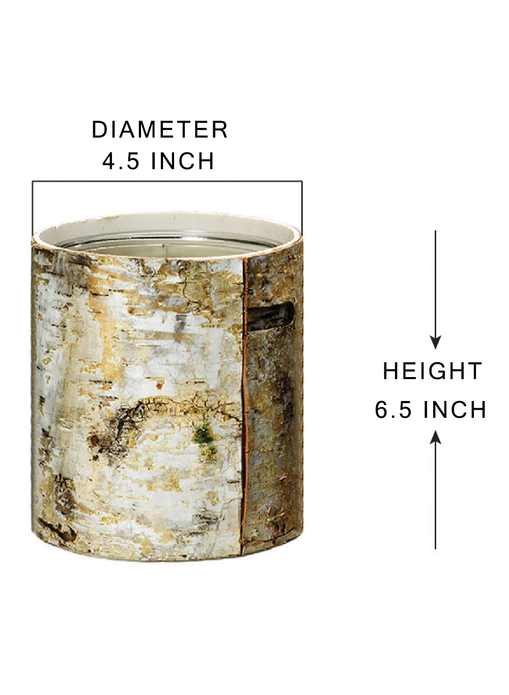 6.5" White Birch Bark Vase