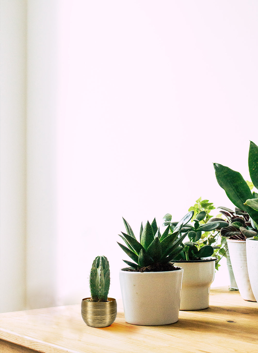 Gold Aluminum Bowl, Sold Individually & Set of 12