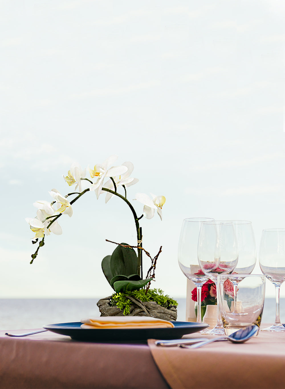 Primrue 3 Pink Realistic Phalaenopsis Orchids In Black Plastic Pot Artificial Potted Flowers Beautiful Entryway Vase Foyer Table Decor Great Gift Measures 5 Diameter 26 Tall Primrue 3 Pink Realistic Phalaenopsis Orchids In Black Plastic Pot Artificial Potted Flowers Beautiful Entryway Vase Foyer Table Decor Great Gift Measures 5 Diameter 26 Tall