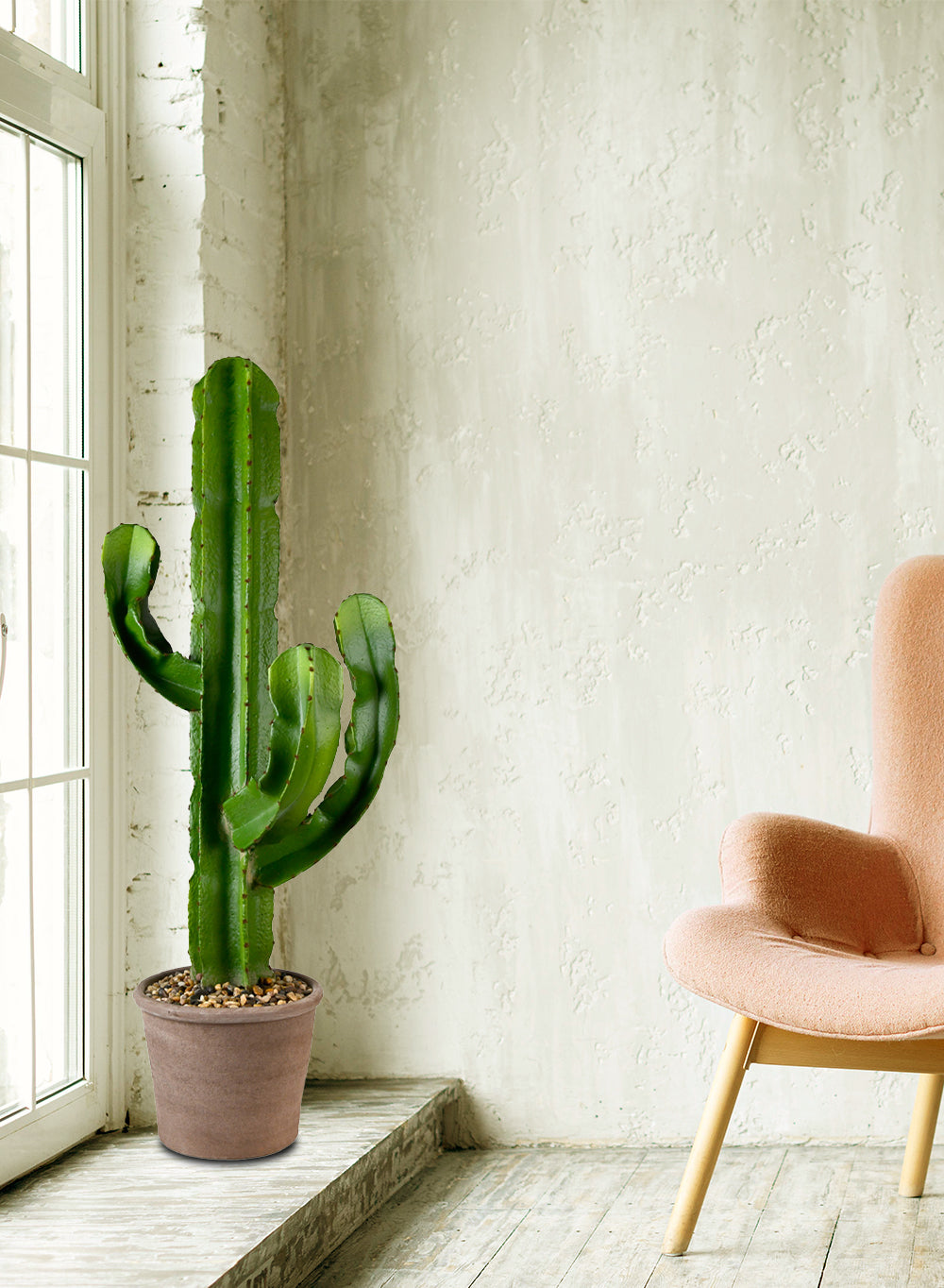 where to buy indoor cactus plants Serene Spaces Living Artificial Potted Candelabra Cactus-15" Dia & 44" Tall
