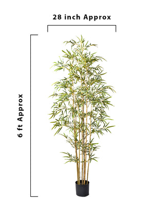 Artificial Bamboo Plant in Black Pot, 28" Diameter & 72" Tall