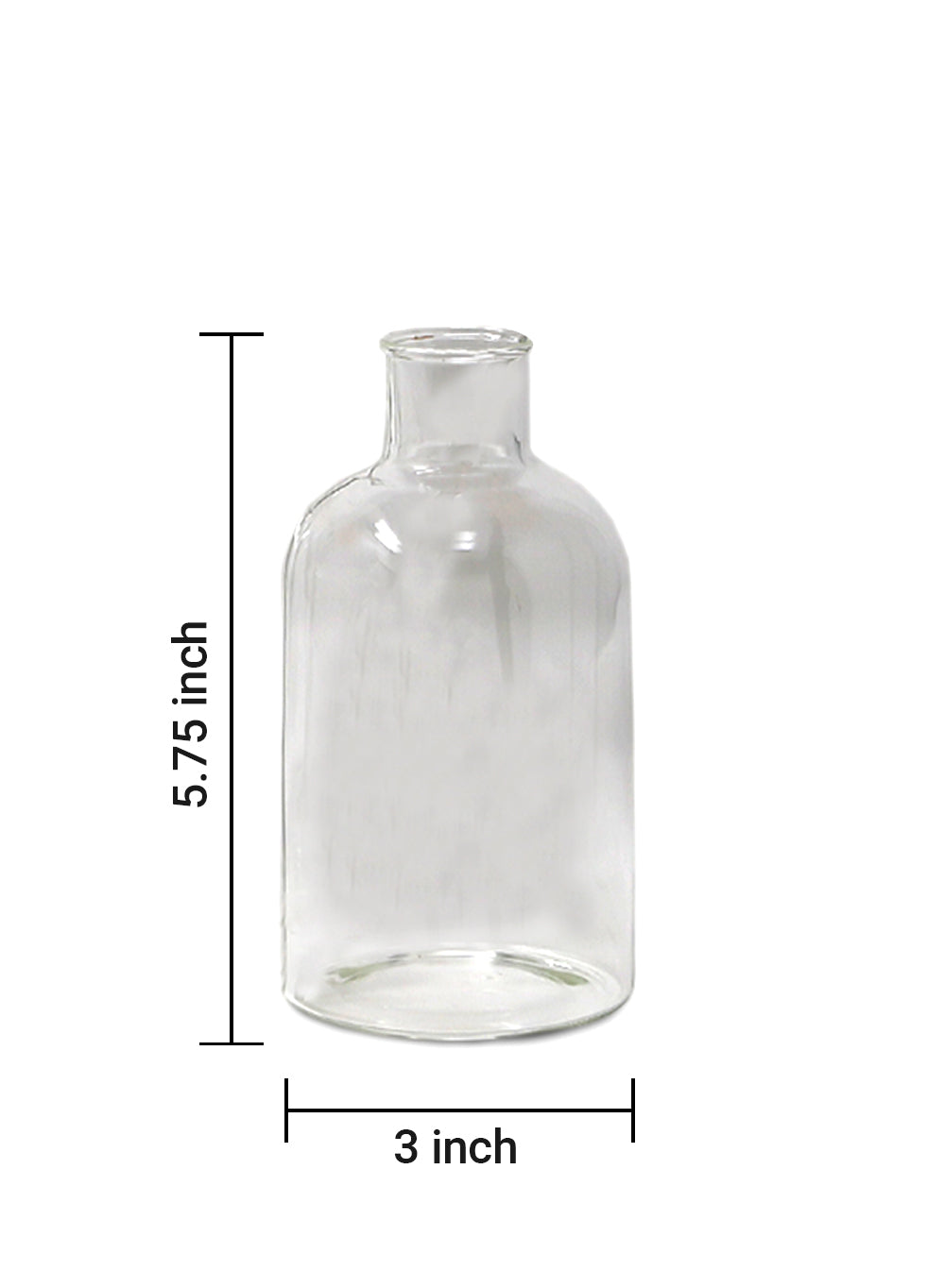 Bottle Bud Vase, 3" Diameter & 5.75" Tall, Pack of 4