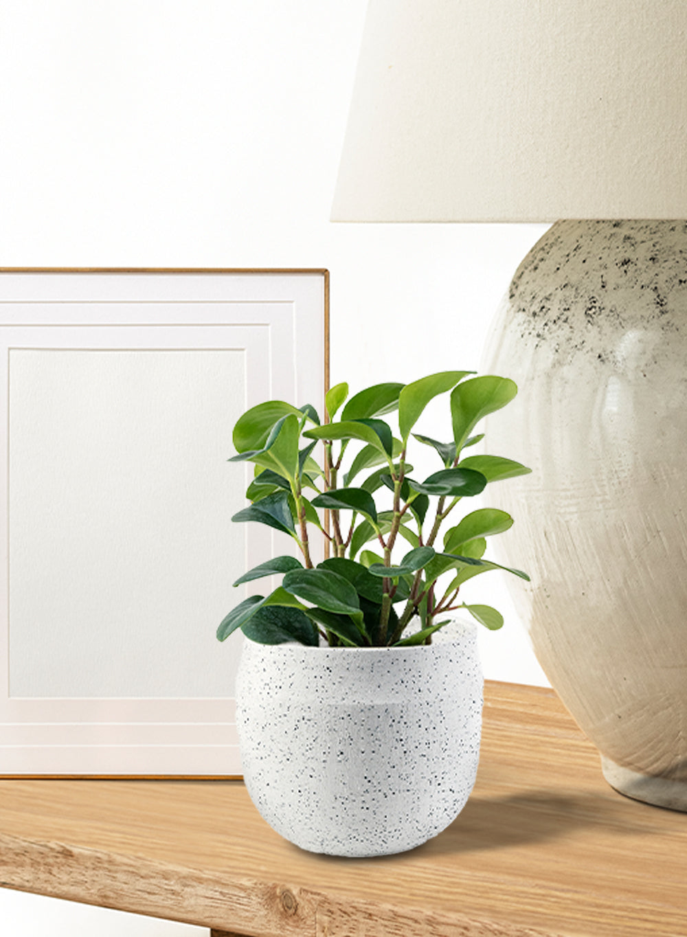White Granite Bowl | Decorative Bowl