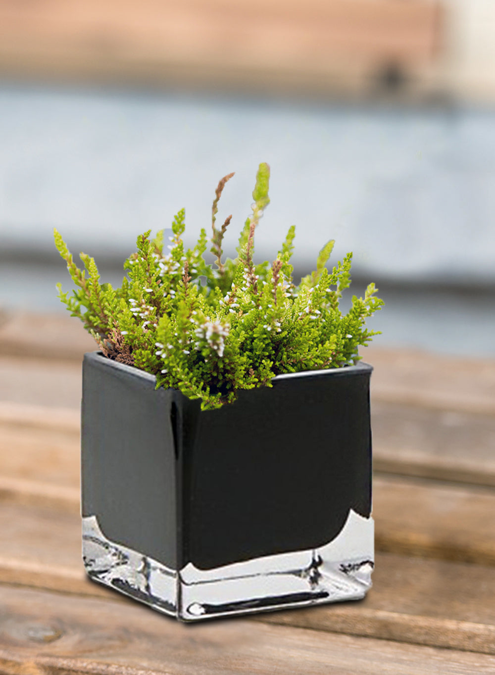 Black Glass Cube Vase, 3" Cube, Sold Individually & as Set of 12
