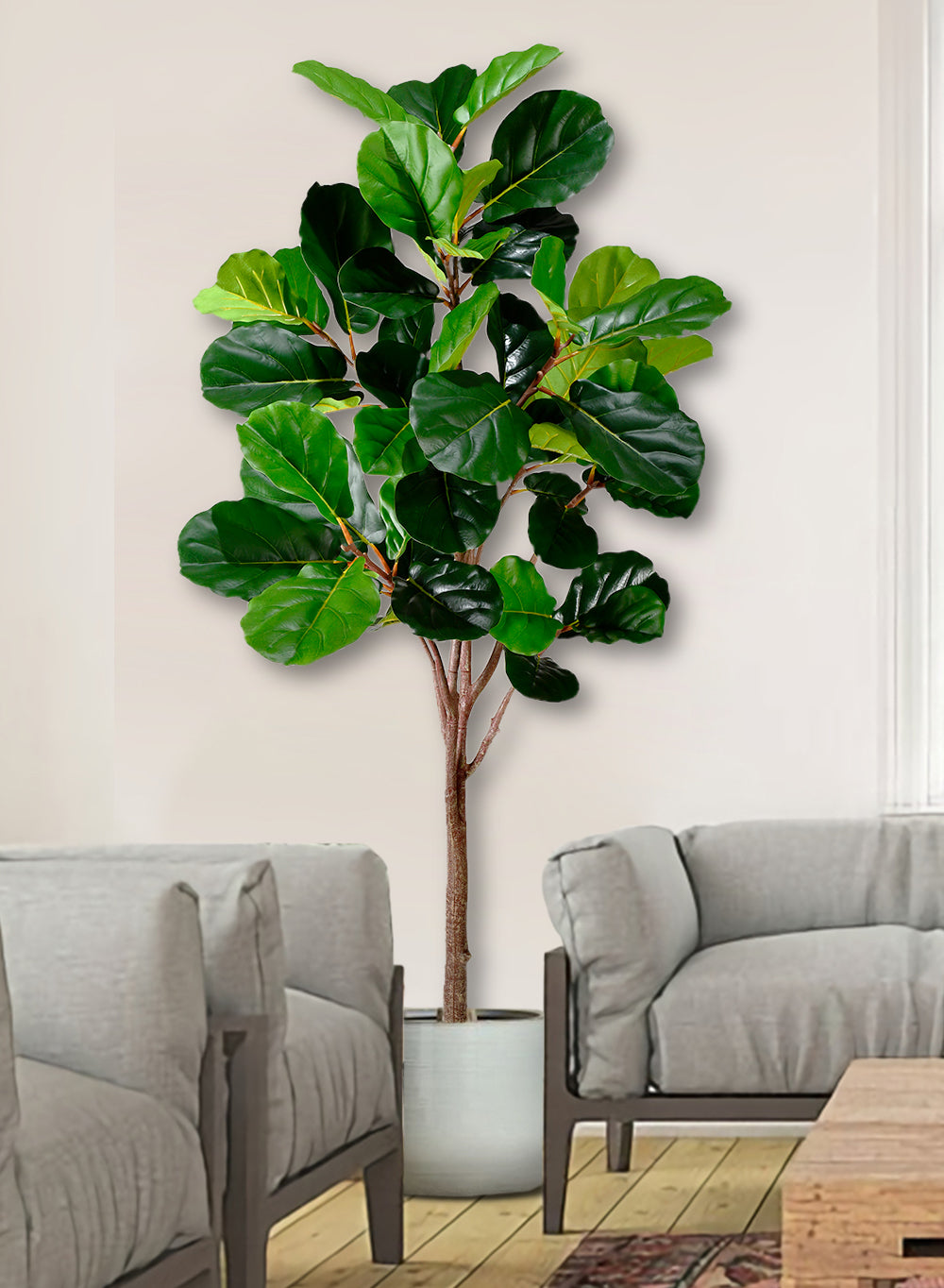 Artificial Fiddle Leaf Fig Plant in Black Pot, 30" Diameter & 71" Tall