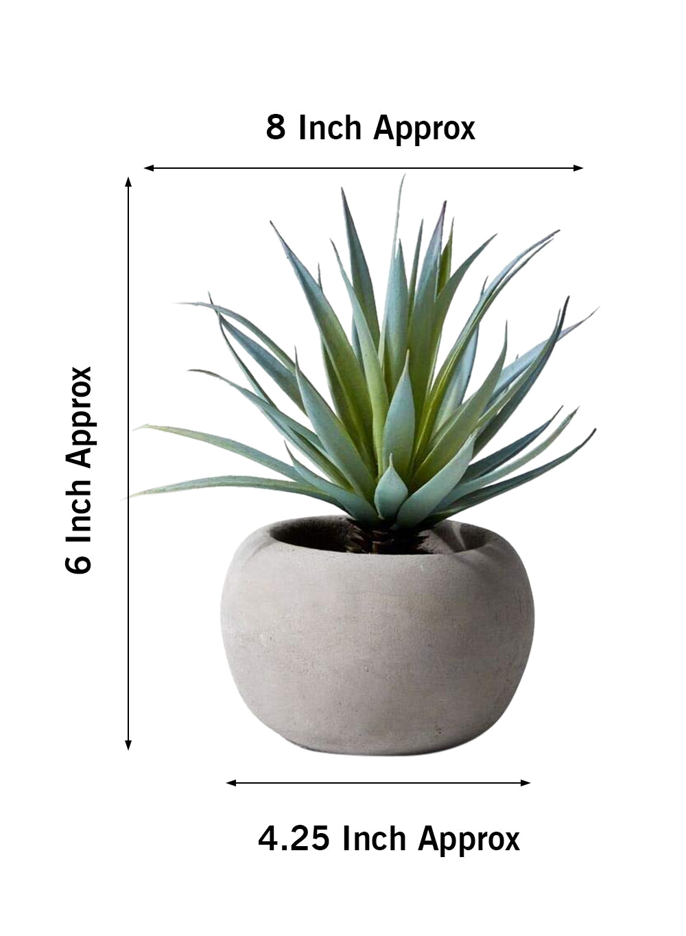 Sword Grass in Grey Cement Pot, Set of 2
