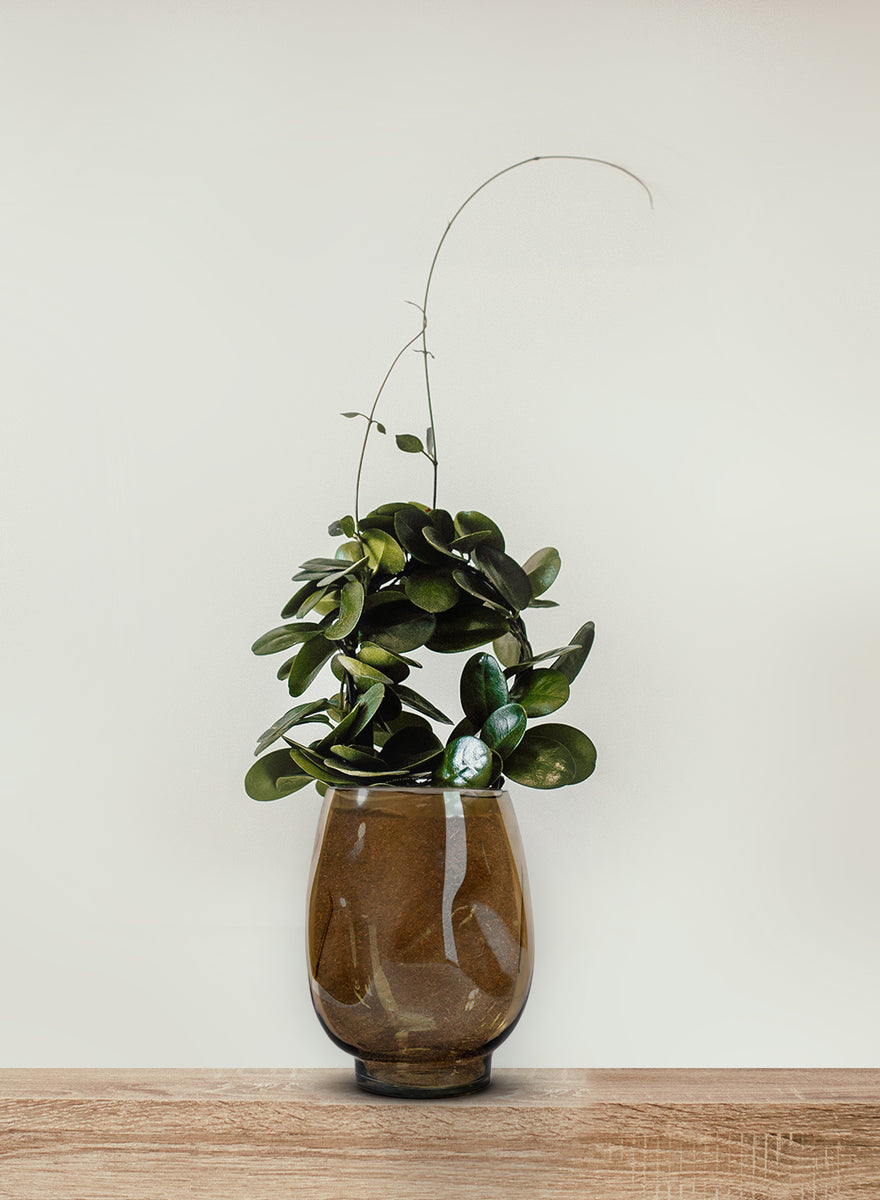 Hand Blown Hurricane Vases Serene Spaces Living