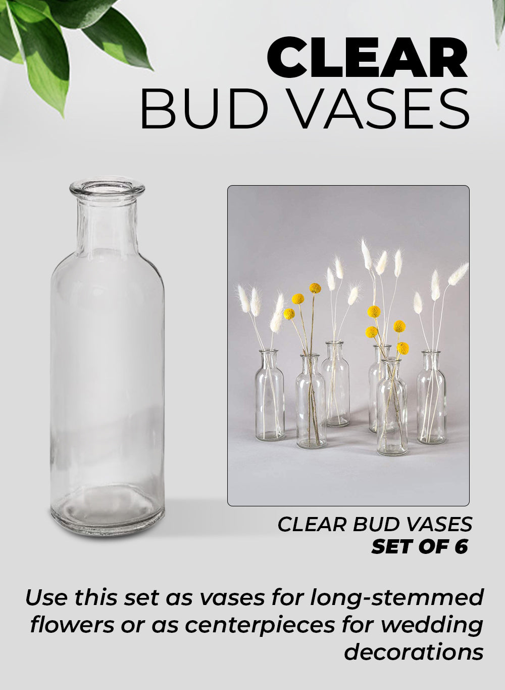 Bundle: Clear Glass Bud Vases – Vintage Apothecary Jars
