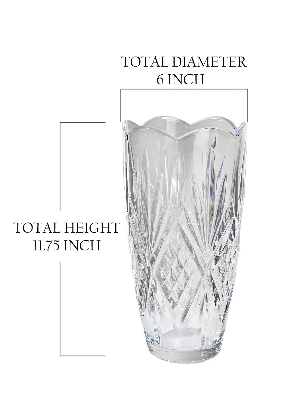 Classic Glass Cylinder Vase, 6" Diameter & 11.75" Tall