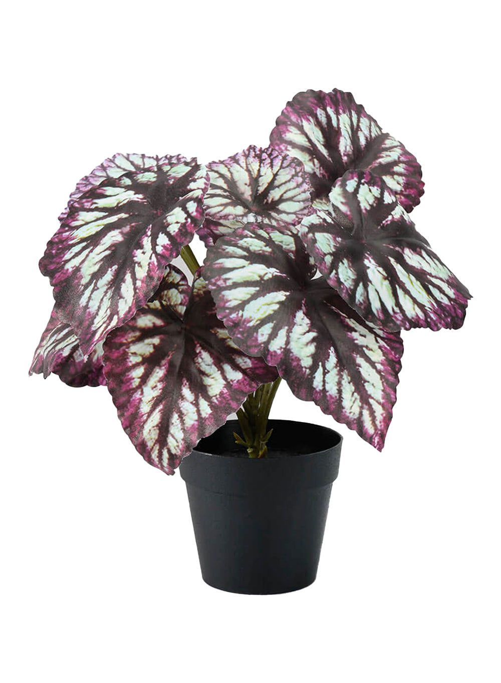 Artificial Begonia Cathayana in Classic Black Pot, 8" Diameter & 13" Tall
