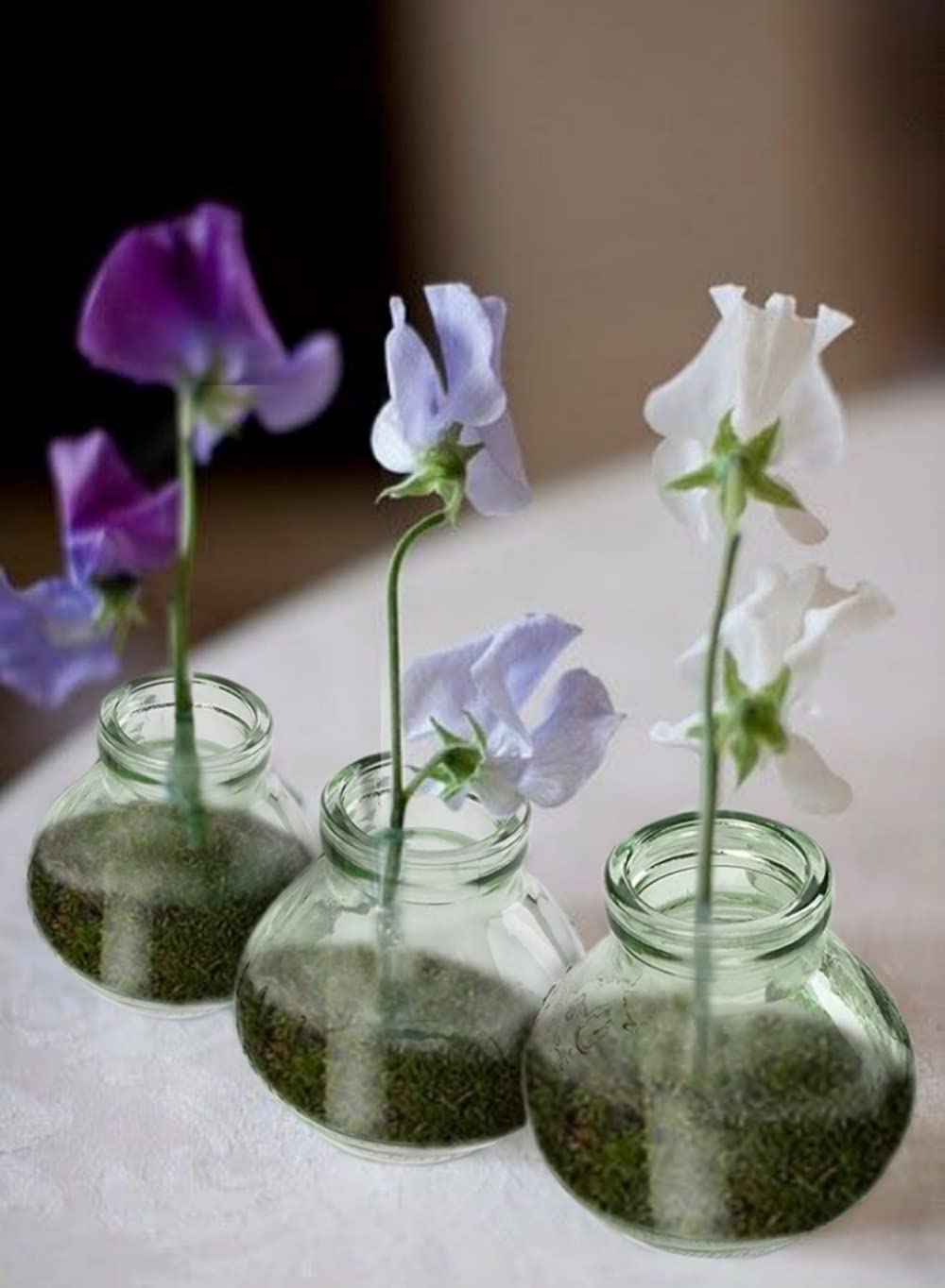 Vintage Green Glass Vase, Set of 6, in 3 Shapes