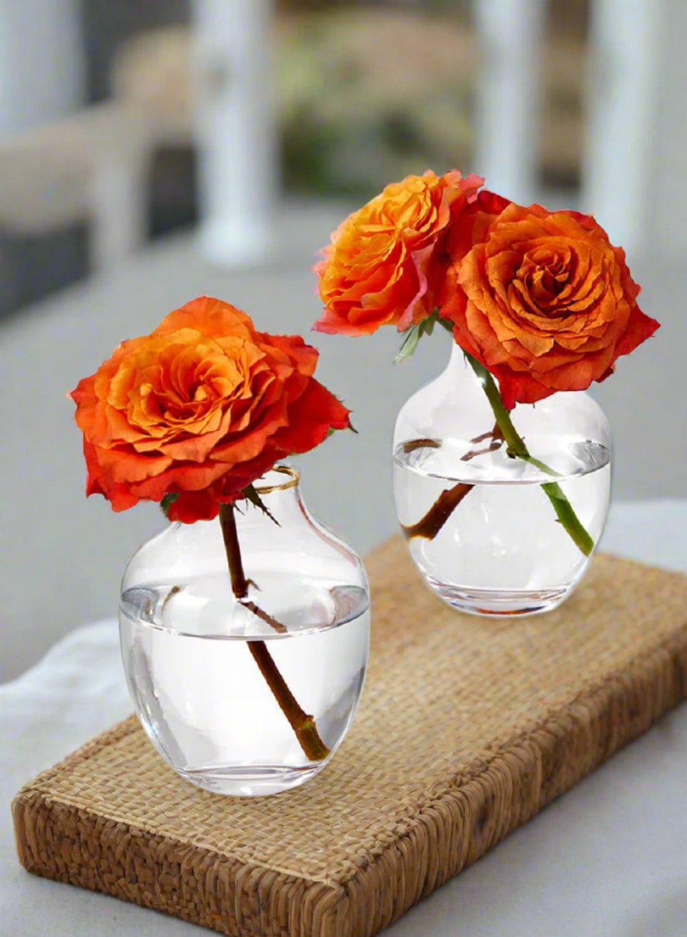 Serene Spaces Living Set of 2 Gold Rimmed Belly Bud Vase, 3.5" Dia & 5" Tall
