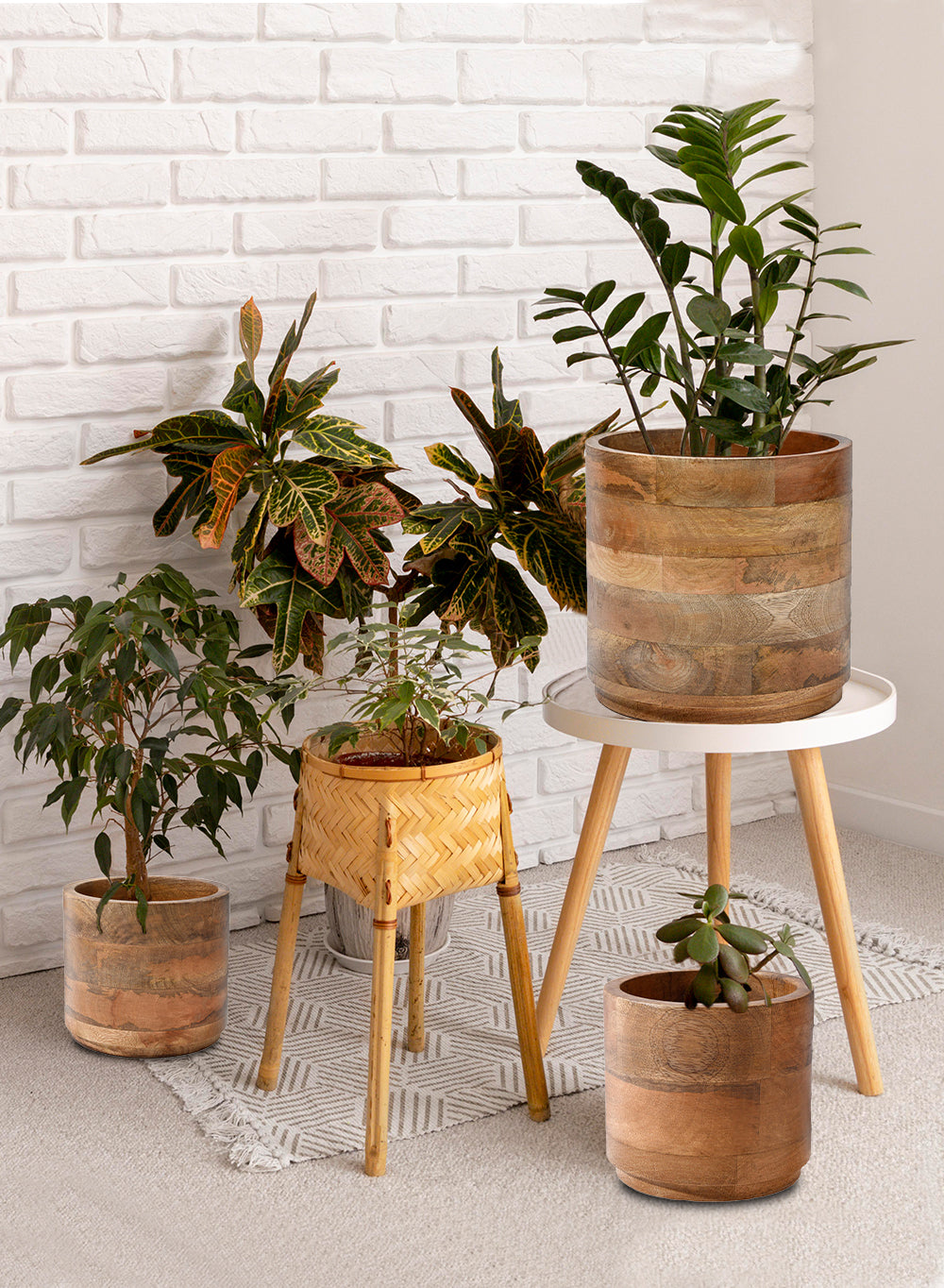 Mango Wood Cachepot, in 3 Sizes (B)