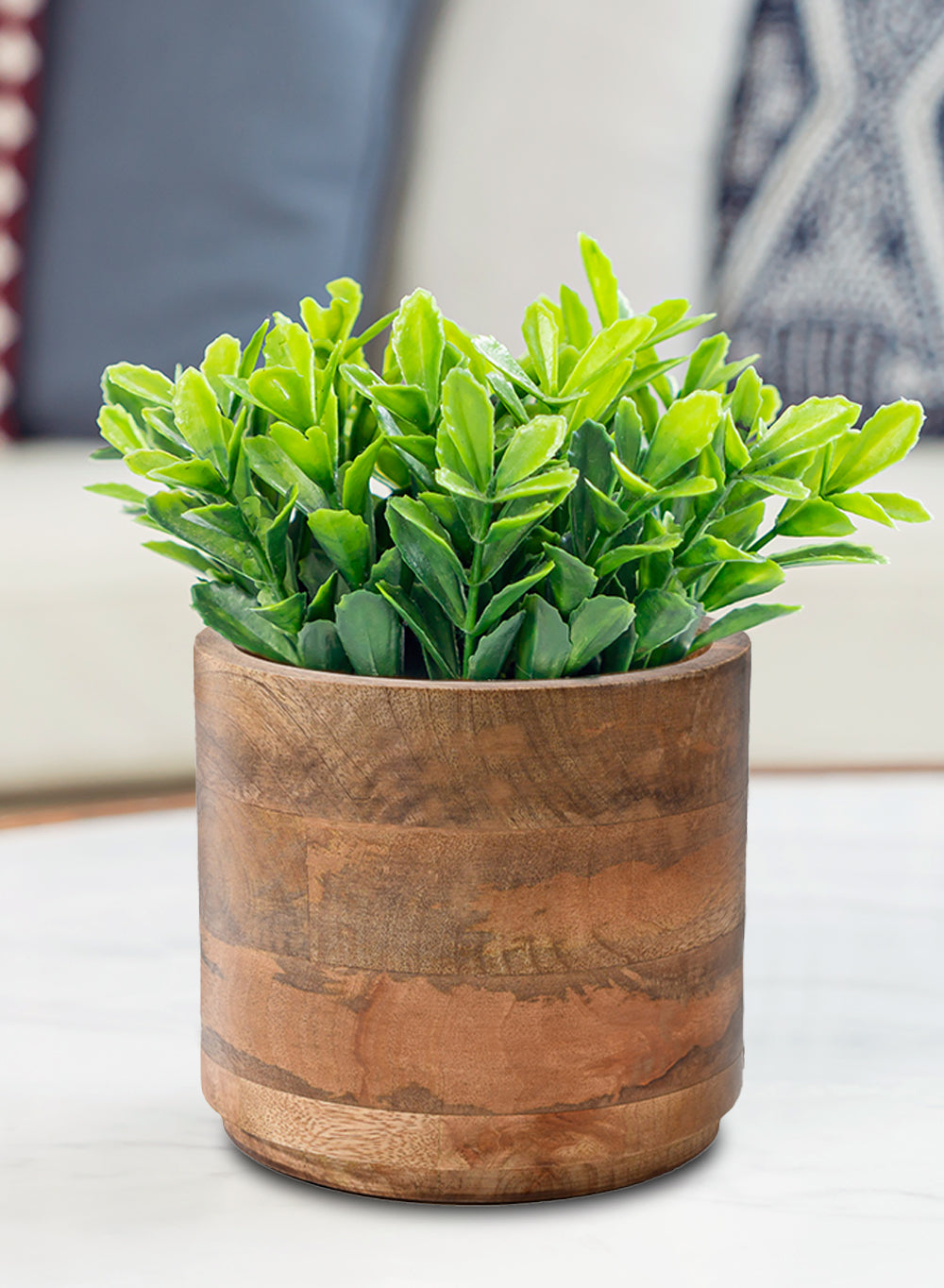Mango Wood Cachepot, in 3 Sizes (B)
