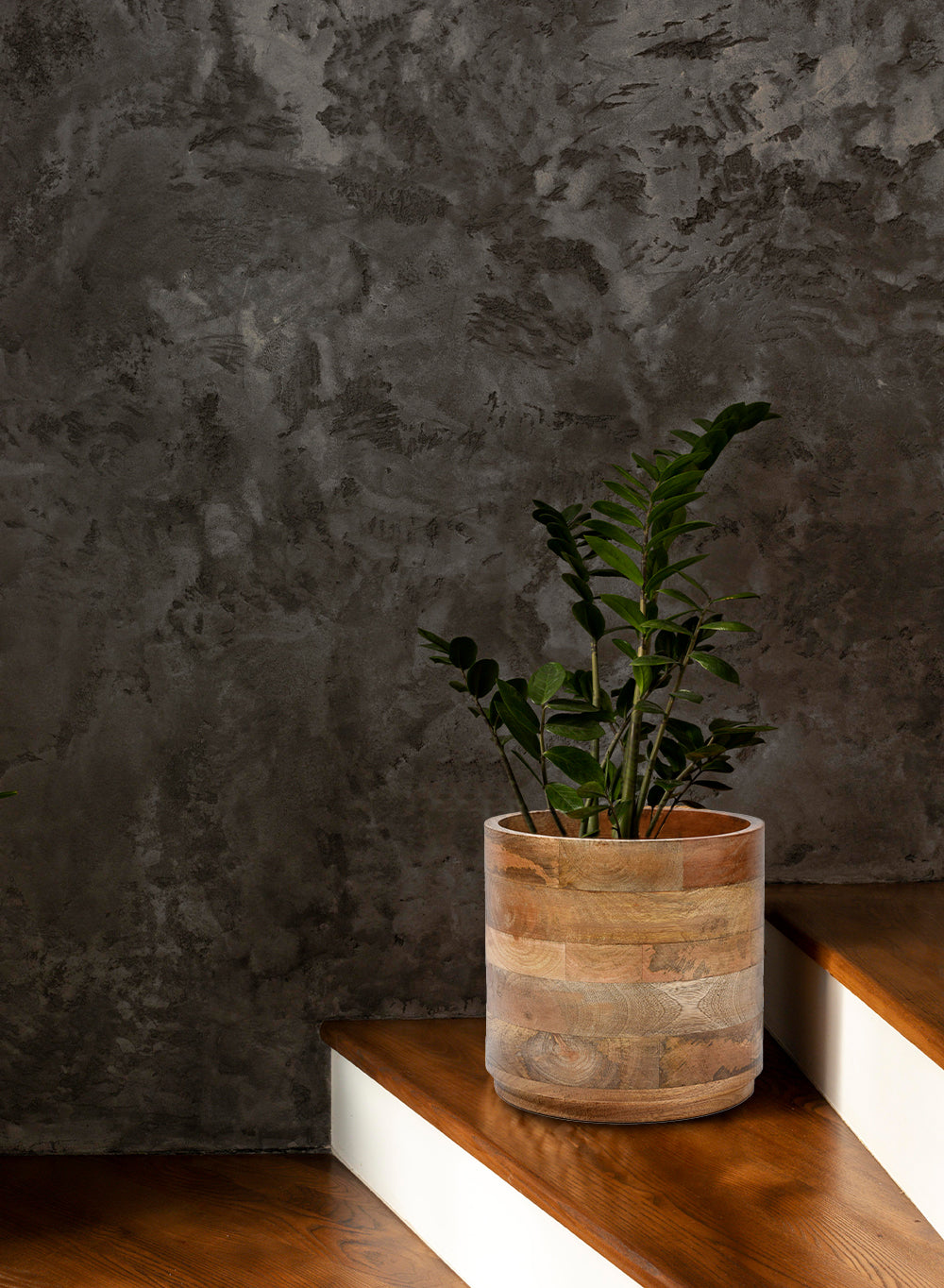 Mango Wood Cachepot, in 3 Sizes (B)