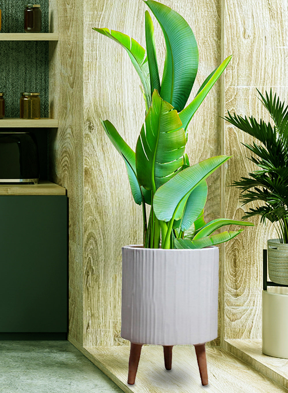 Ripple Matte White Ceramic Pot Holder | Planter