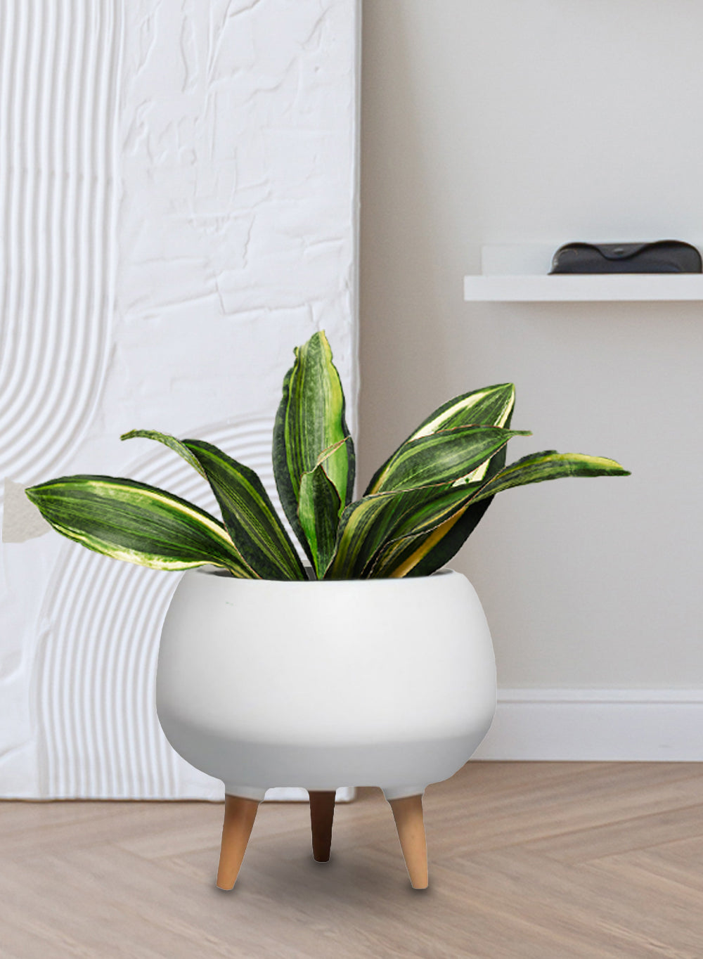 wide plant pot indoor Matt White Ceramic Pot Holder | Planter